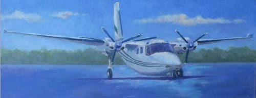 Click to view detail for Twin Engine Commander
